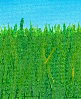 green grass and blue sky