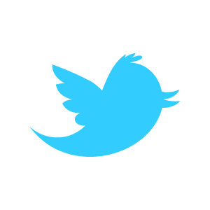 twitter newbird